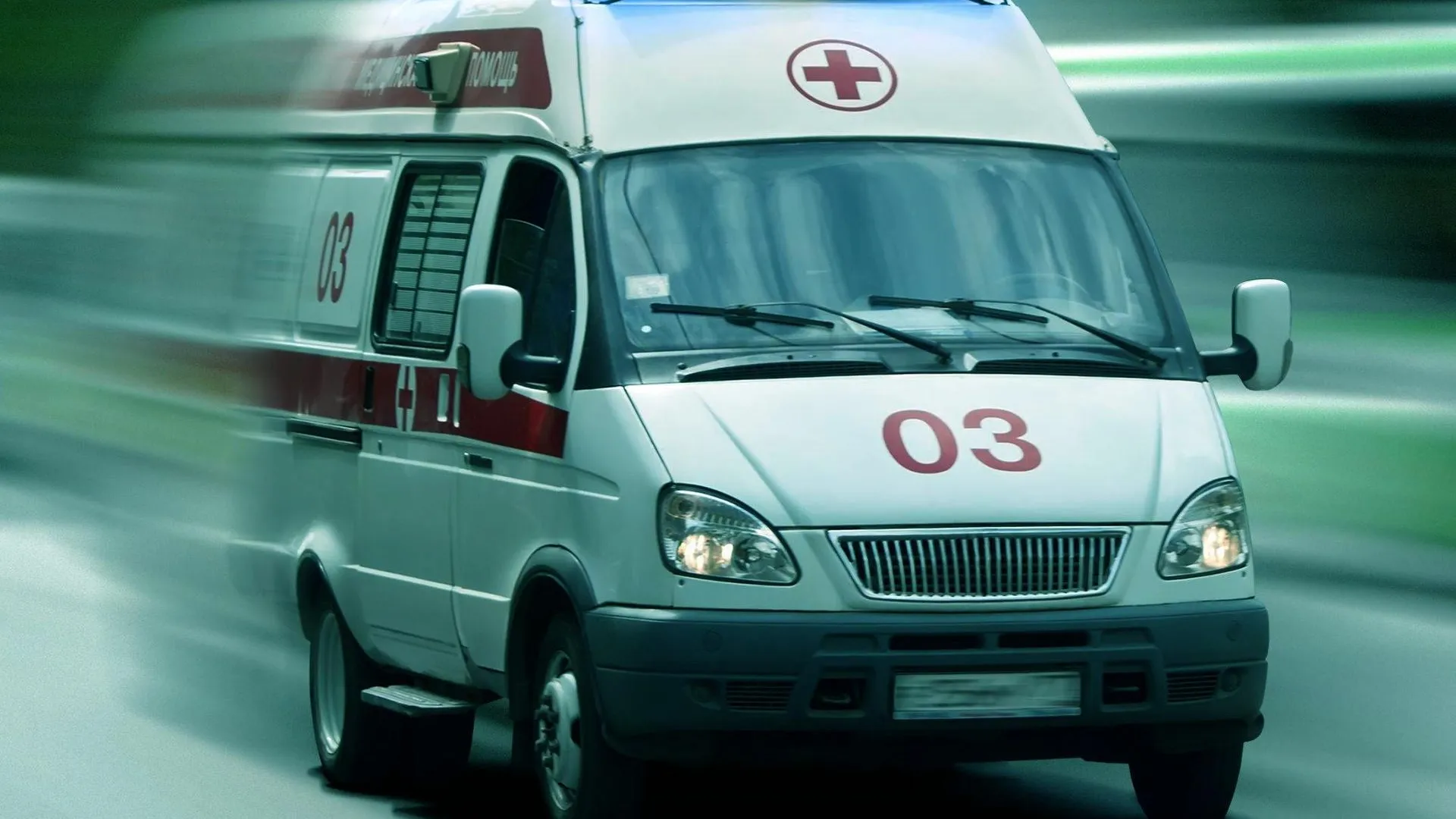 Фото: Администрация Ленинского городского округа