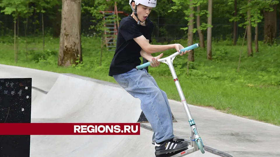 Фото: REGIONS/Наталья Бычкова
