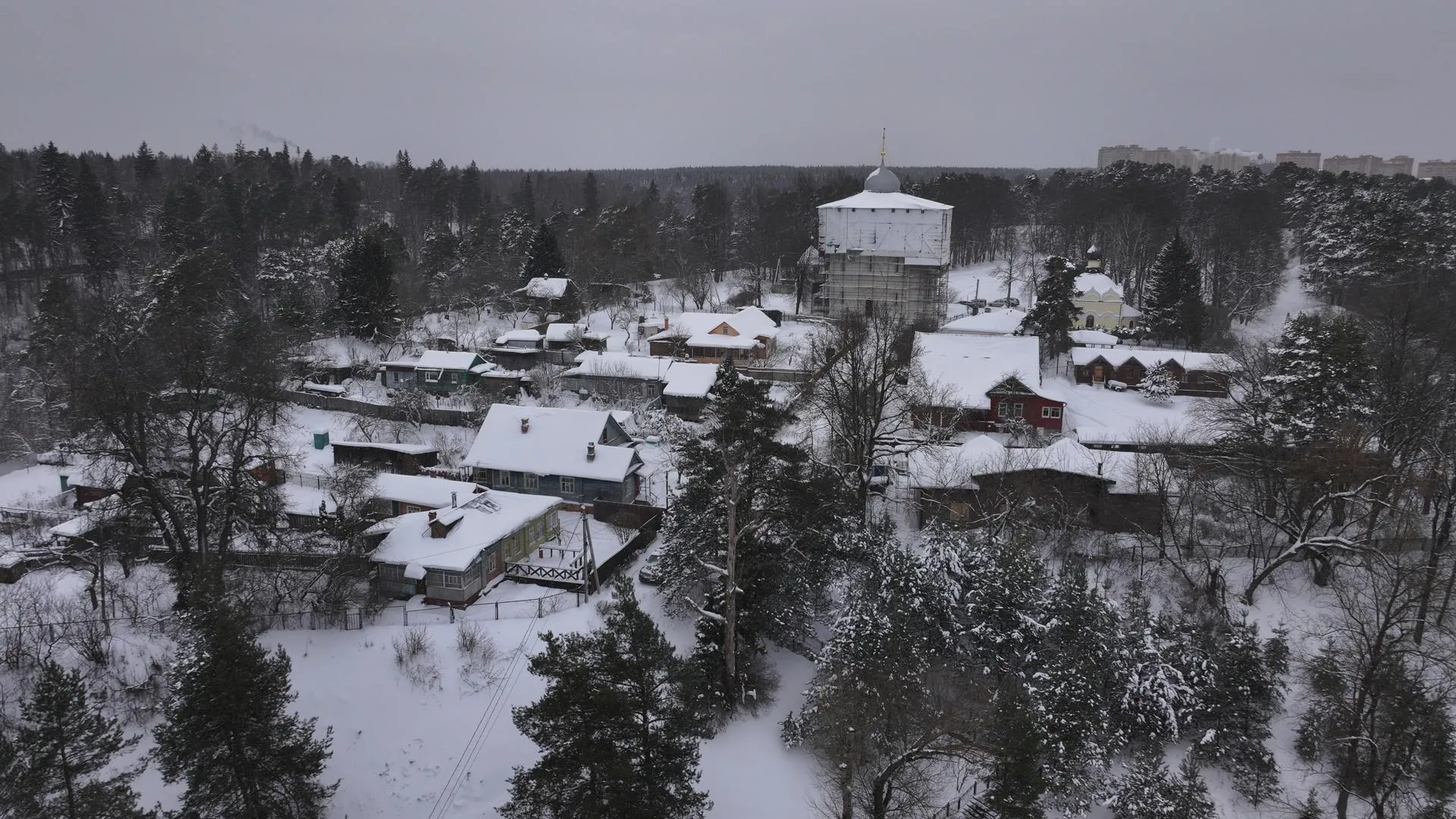 Дарья Московцева