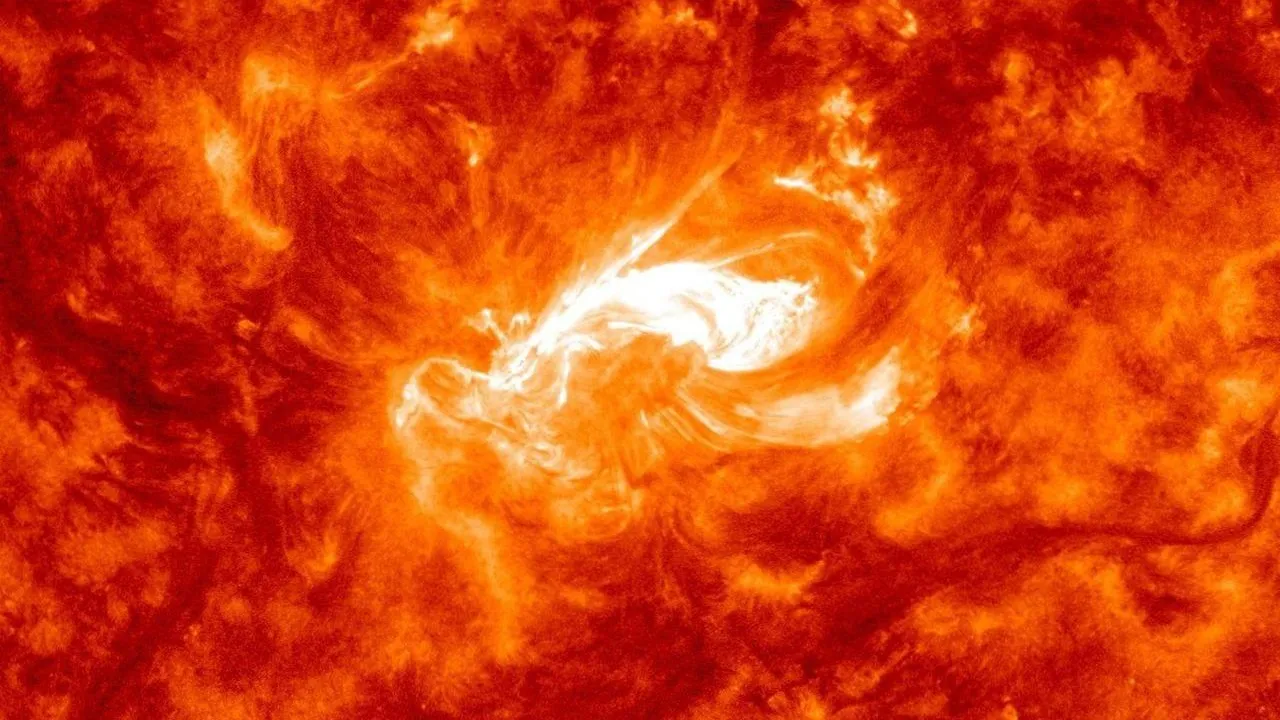 Фото из соцсетей