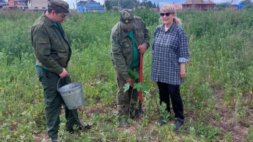 Фото: Комитет лесного хозяйства Московской области