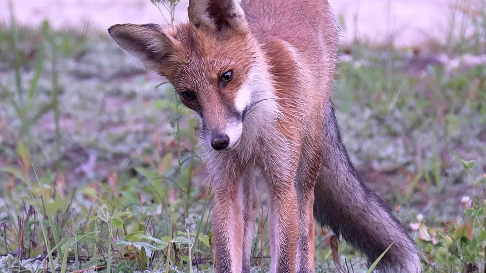 Фото: Александр Бакланов