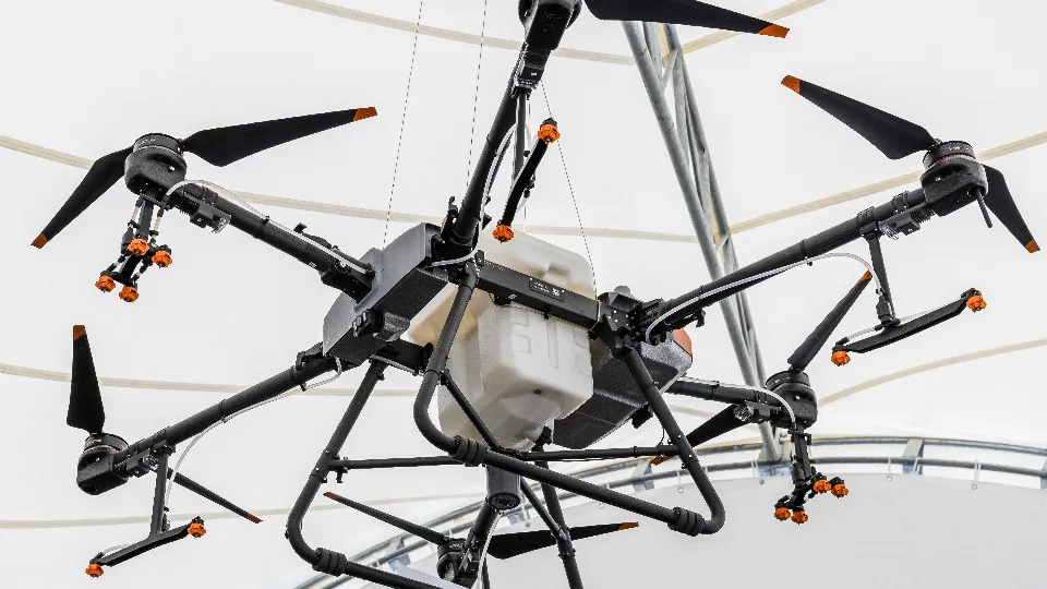 Фото: медиасток.рф