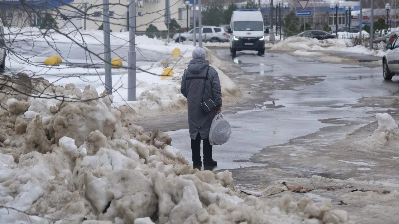 Мария Панина