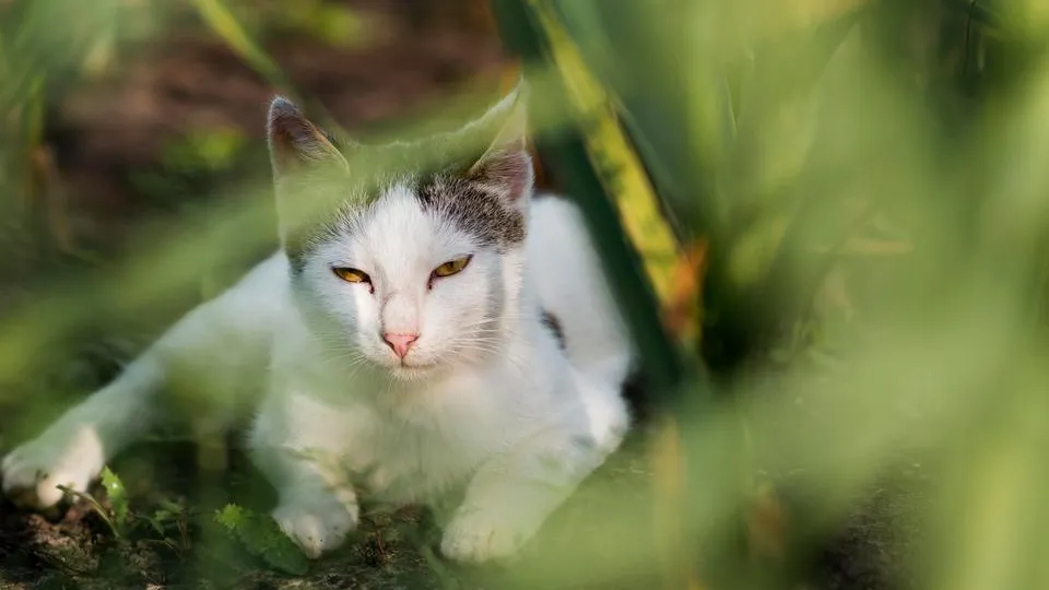 Фото: freepik.com