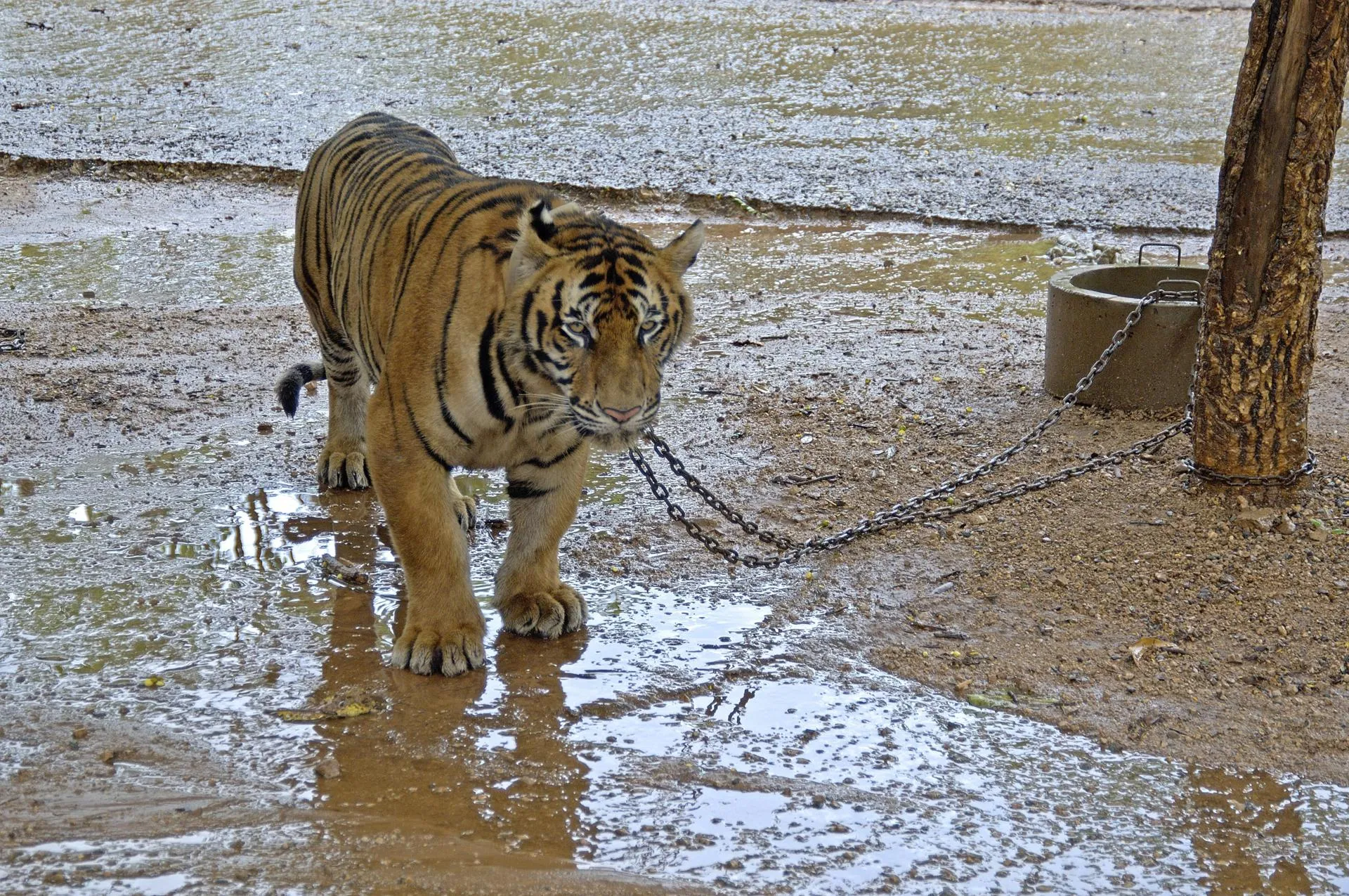 Ingo Schulz/http://imagebroker.com/#/search/