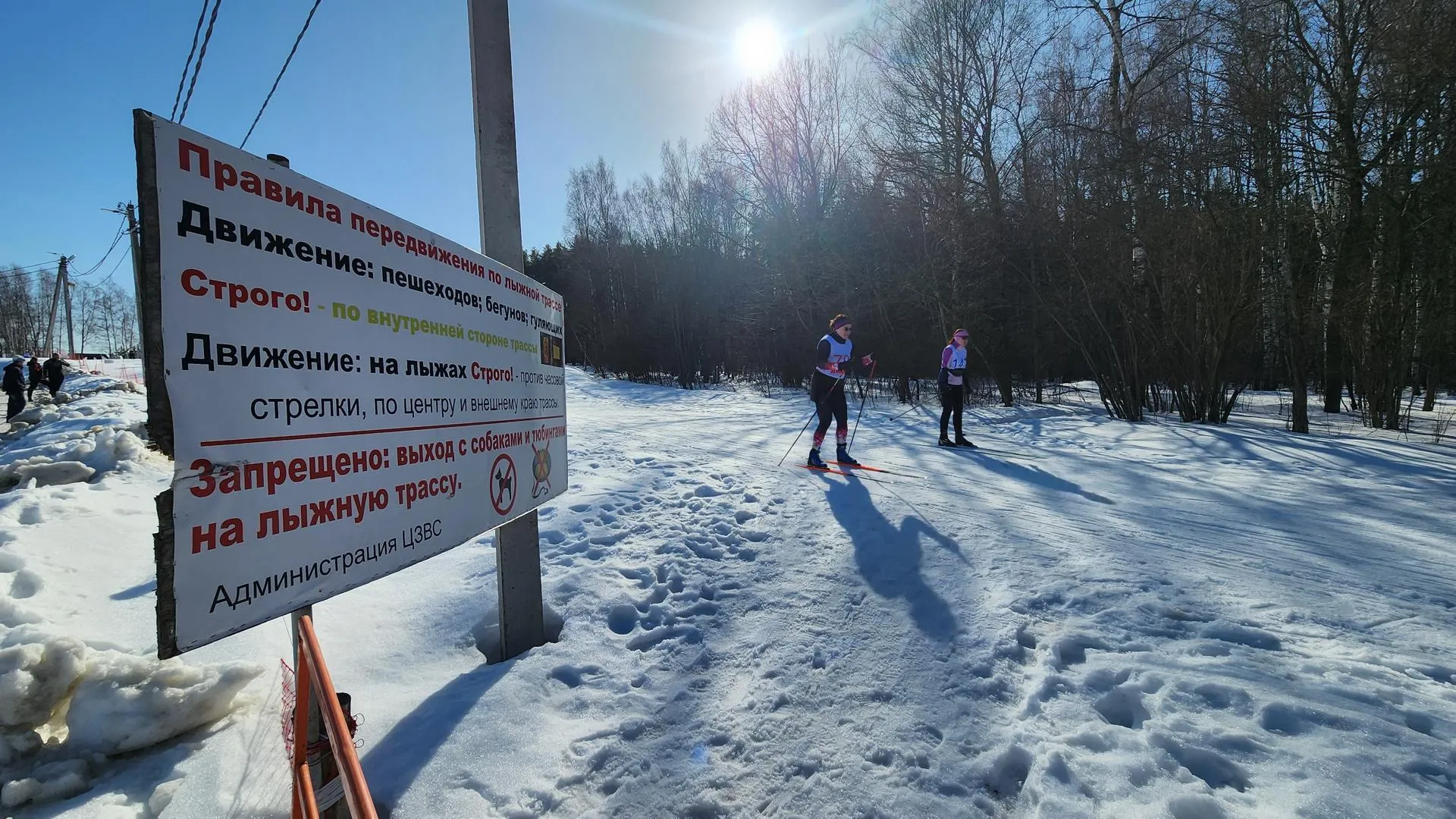 REGIONS/Евгений Рой