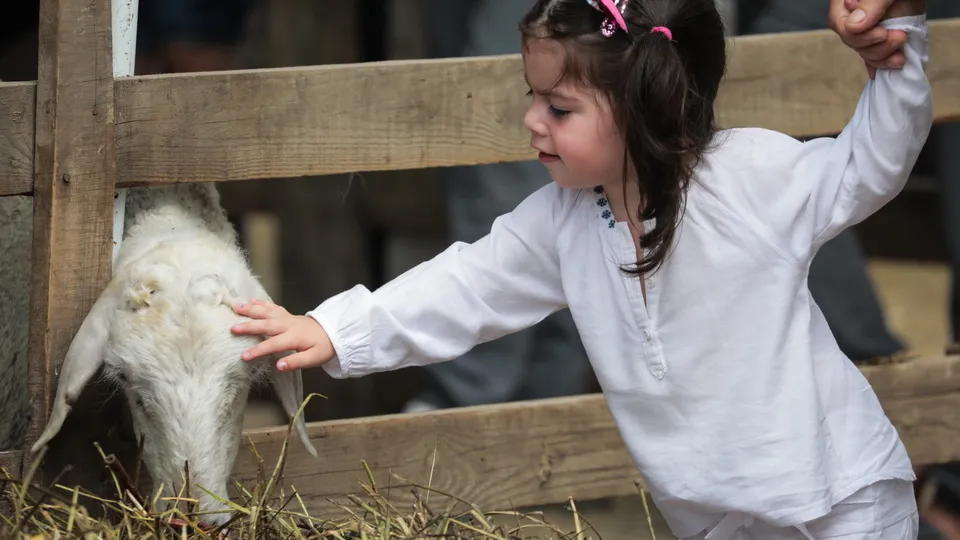 Фото: ТАСС/Елена Афонина