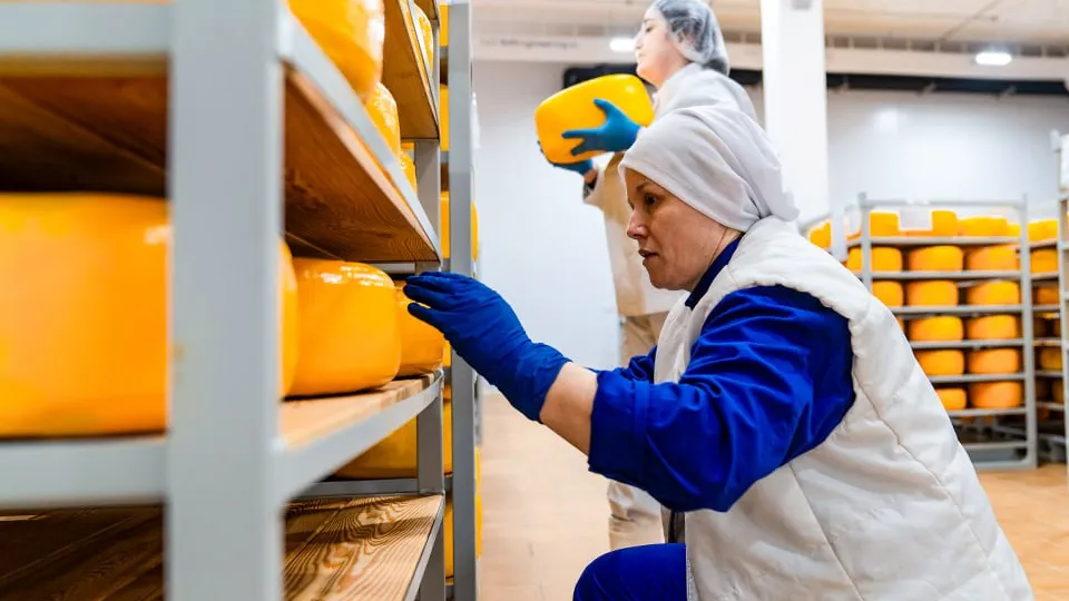 Фото: пресс-служба губернатора и правительства Московской области/Александра Степанова