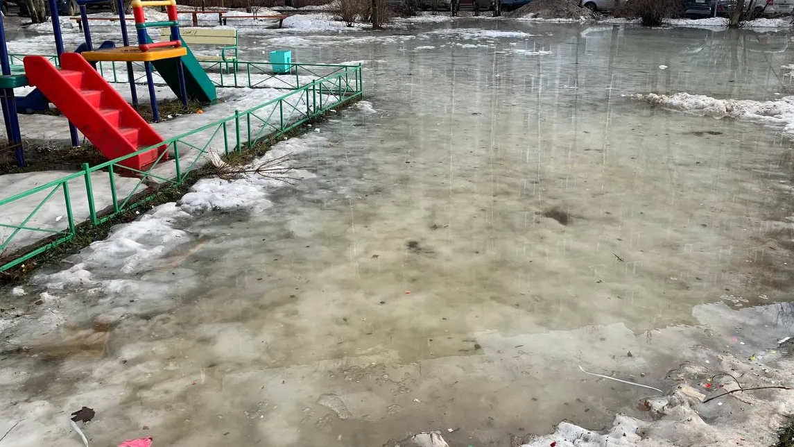 Фото: Елена Кадрова