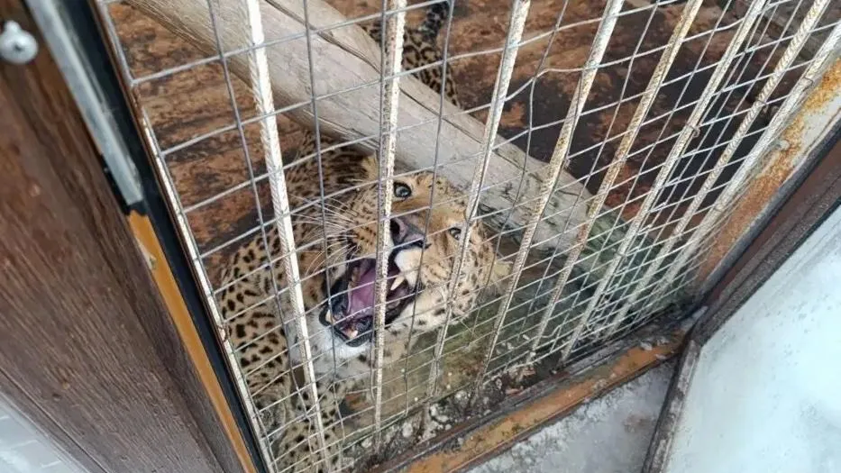 канал Прокуратуры Москвы в Max