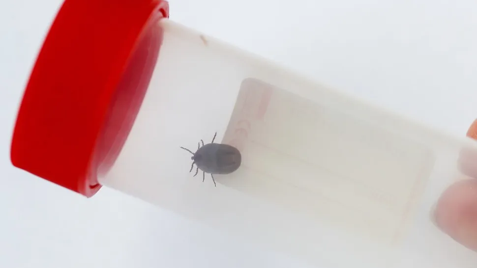 Фото: ТАСС/Артем Геодакян