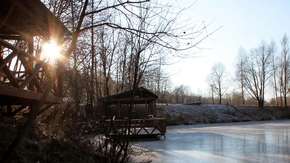 Фото: медиасток.рф