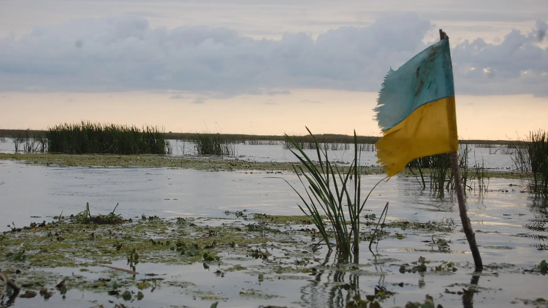 Политолог Дудчак пояснил, удастся ли на Украине ввести временное прекращение огня