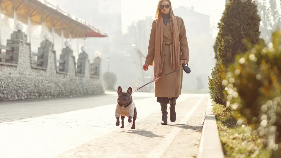 Фото: freepik.com