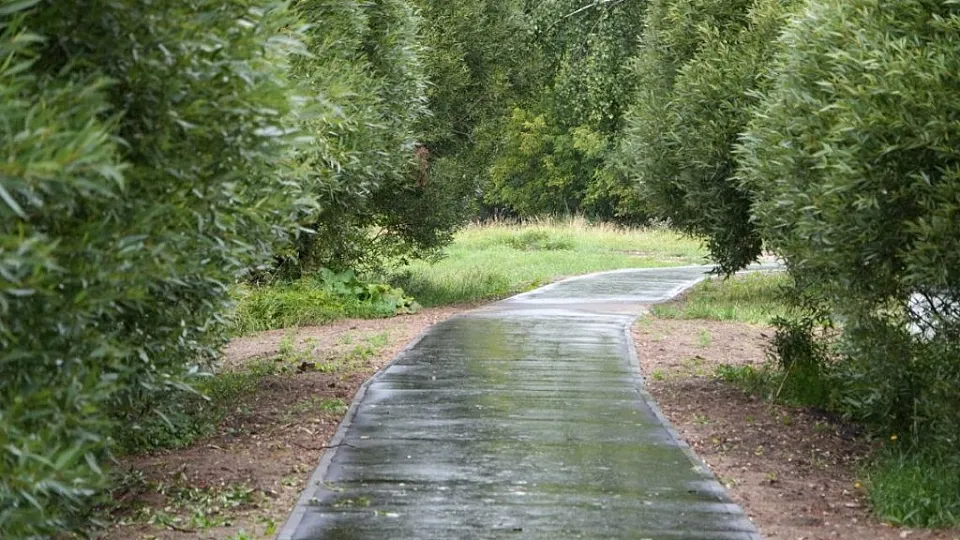 Фото: пресс-служба Администрации г.о. Серпухов