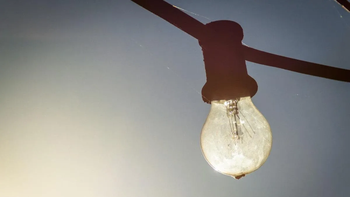 Фото взято с ru.freepik.com