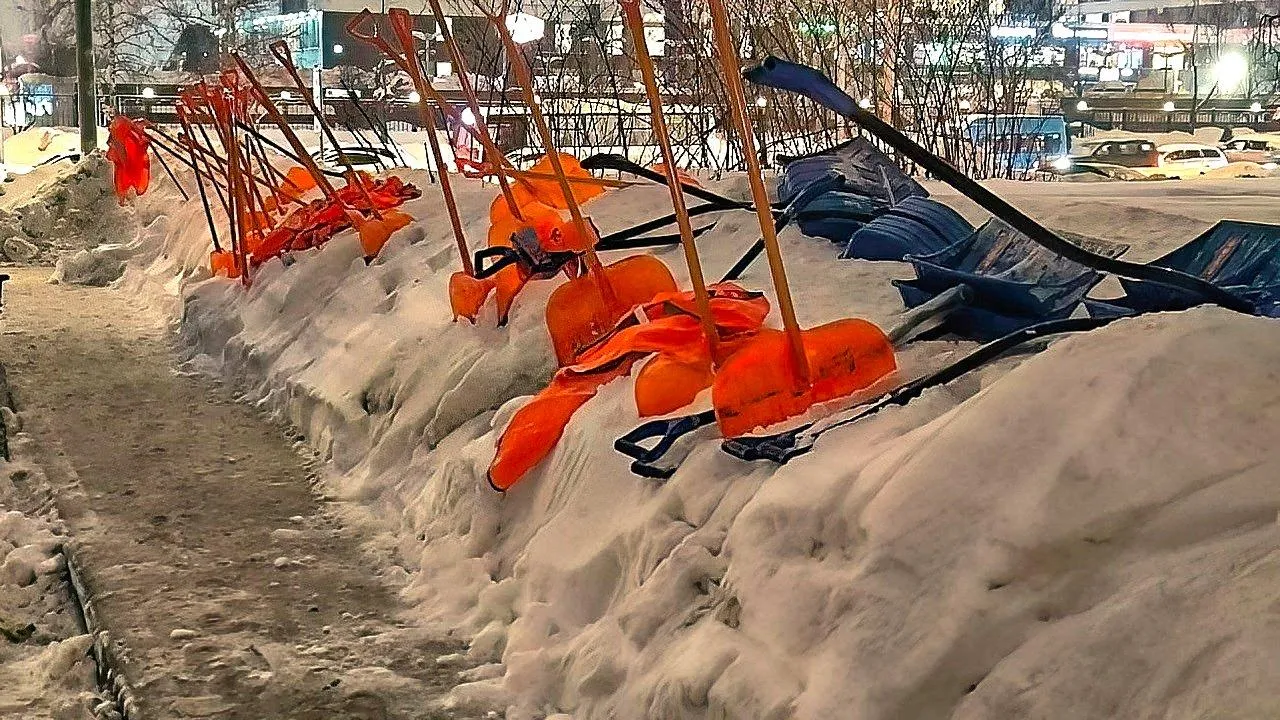 REGIONS/Роман Малышенко