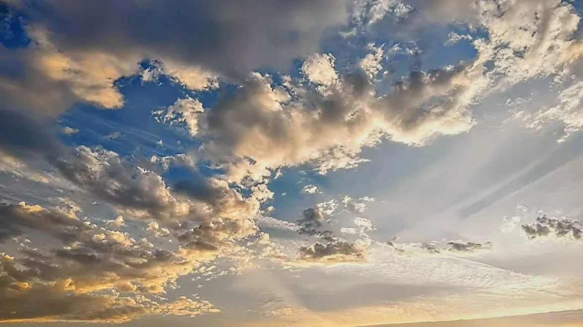 Фото: REGIONS/Алексей Селиверстов