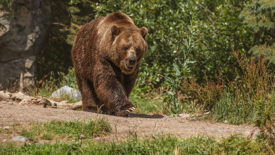 Фото: freepik.com