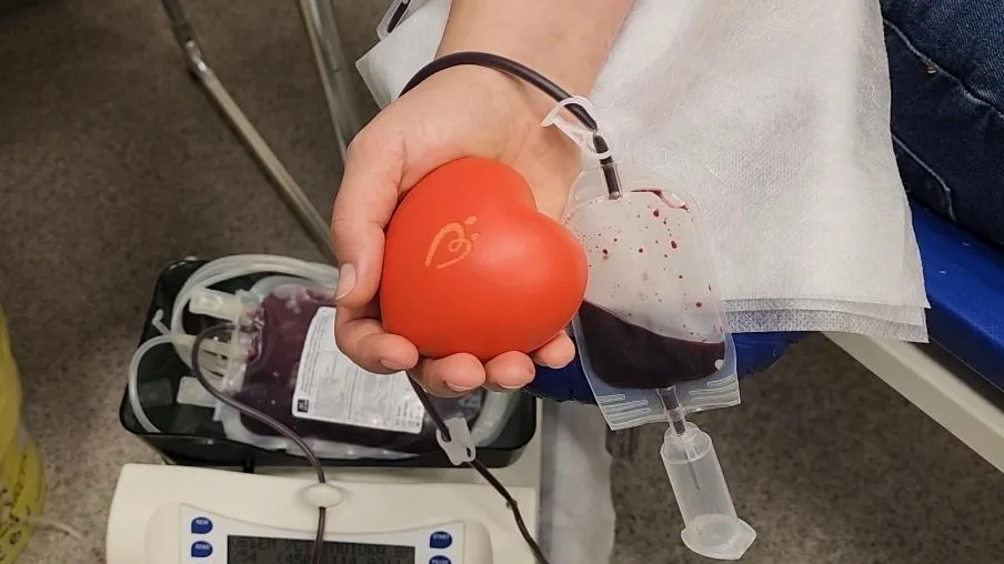 Светлана Плотникова