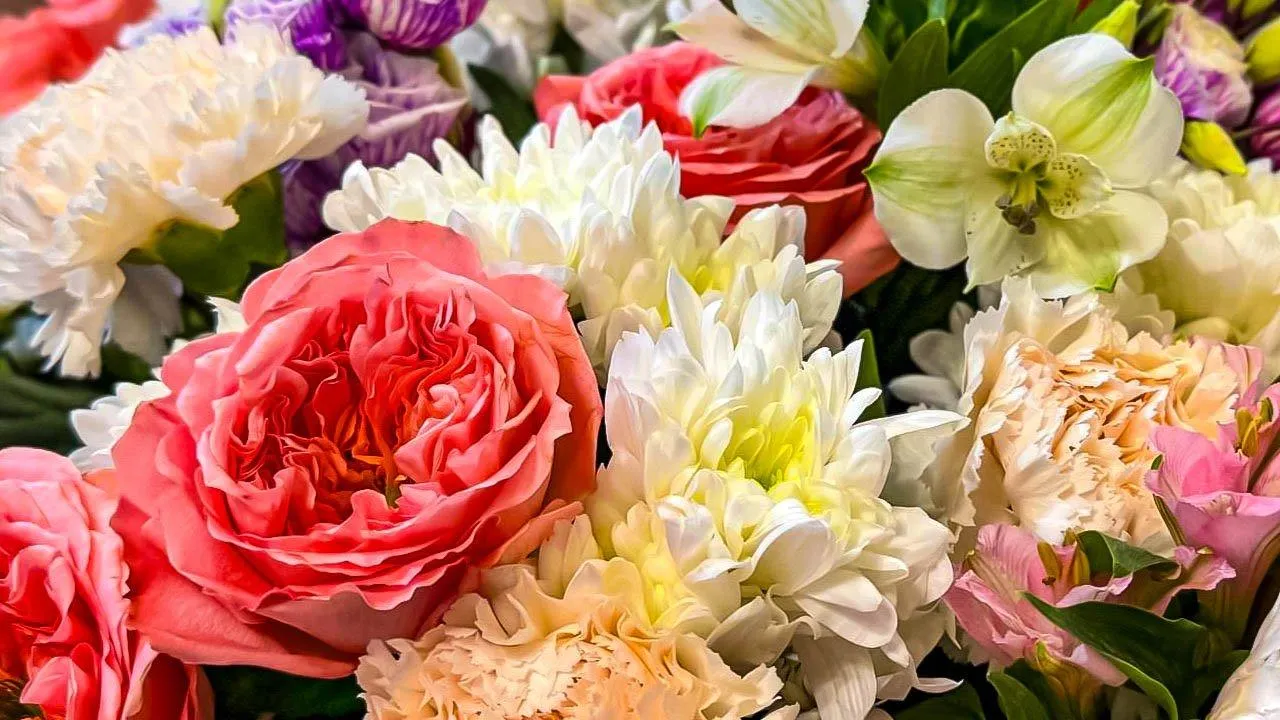 REGIONS/Дарина Левкина