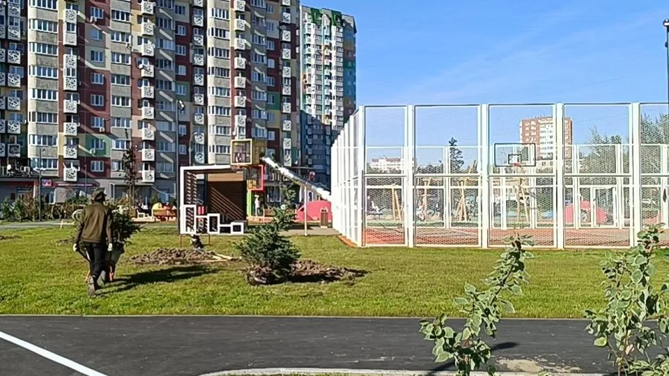 Фото: пресс-служба администрации г.о. Лобня