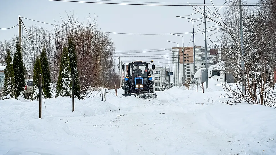 Фото: МедиаБанк Подмосковья/Данила Кирьянов