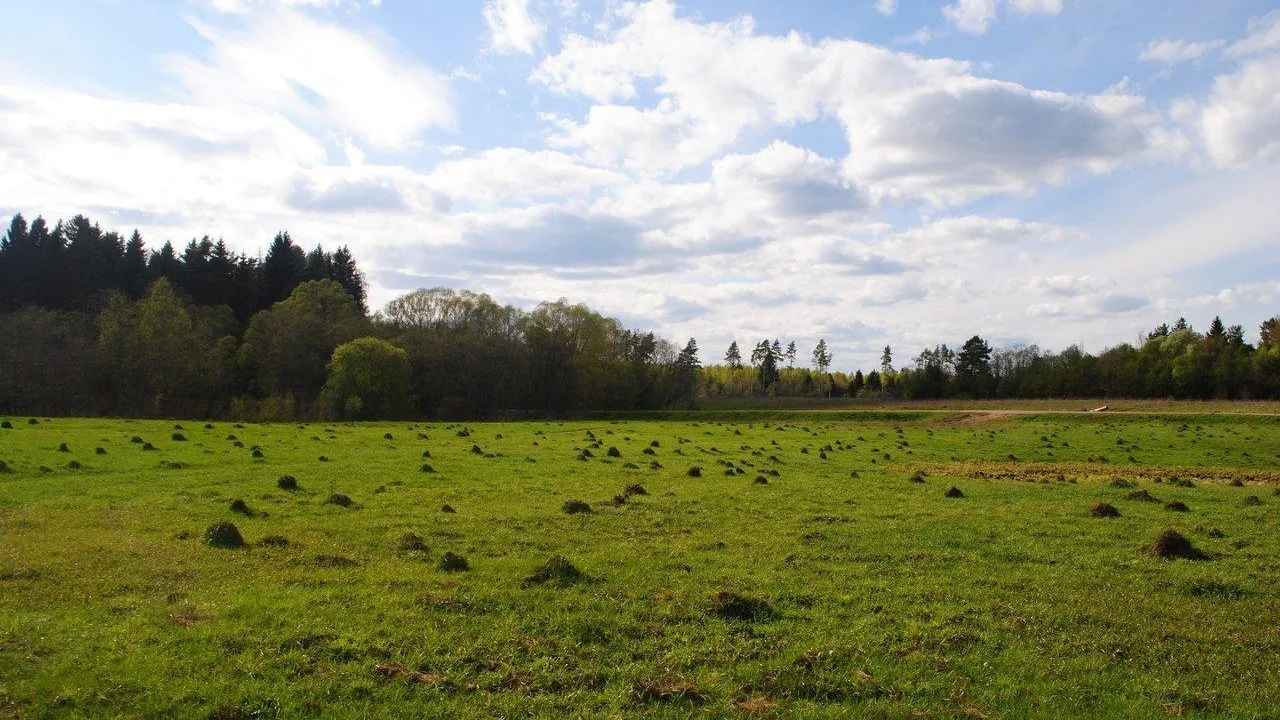 Фото: фотобанк «Вести Подмосковья»