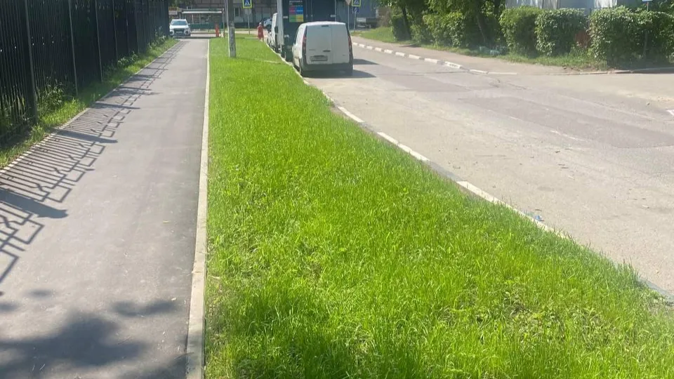 Фото: пресс-служба администрации г.о. Балашиха