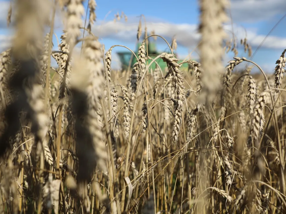 Фото: пресс-служба администрации Наро-Фоминского г.о.
