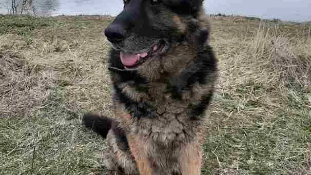 Фото: Наталия Надточая