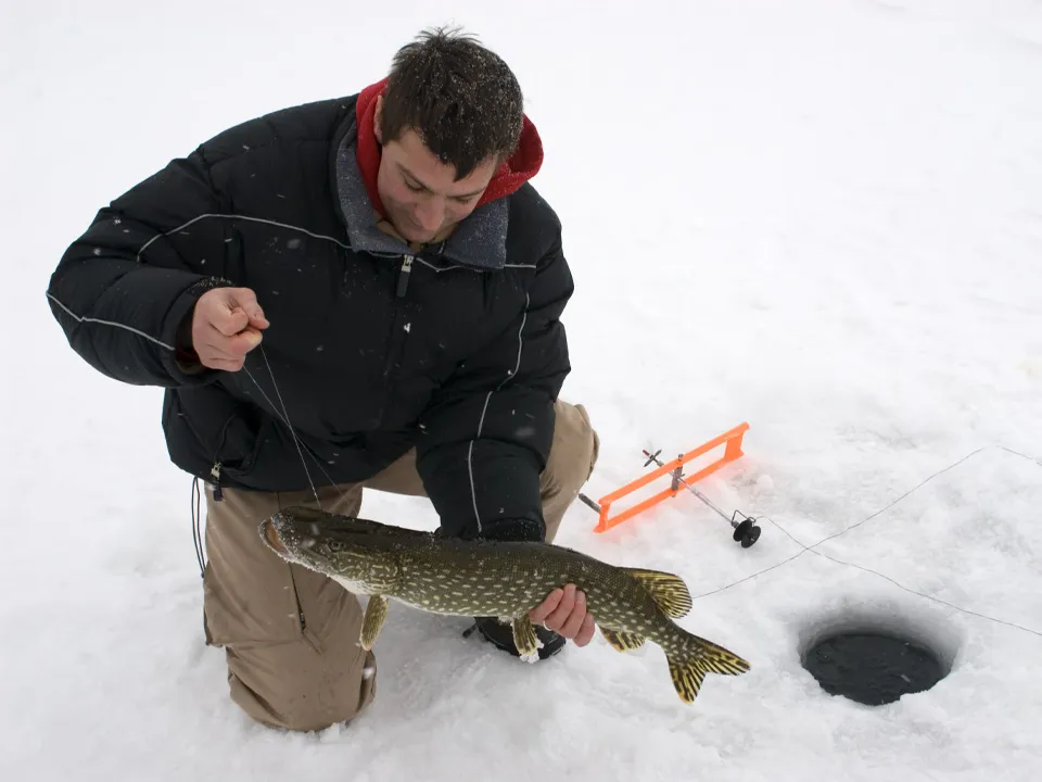 Фото: istockphoto.com/Michael Olson&nbsp;
