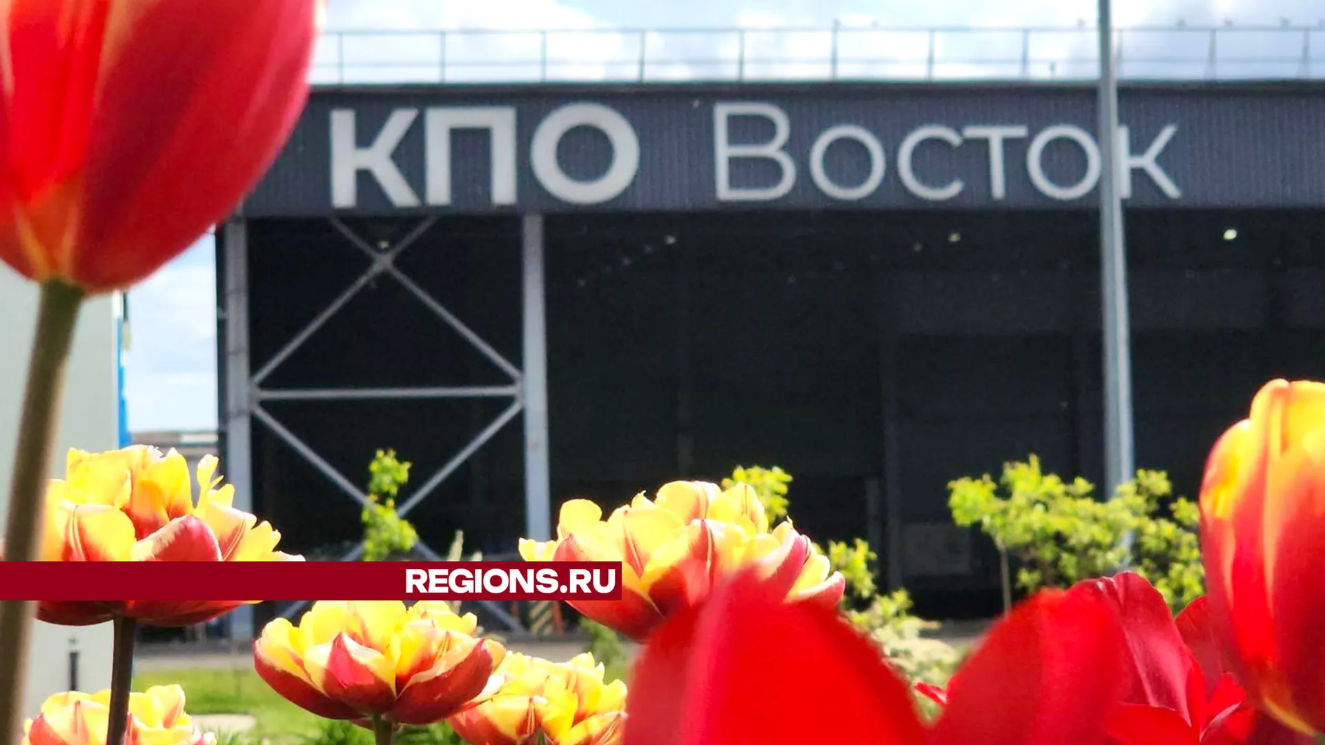 Фото: Виталий Сид