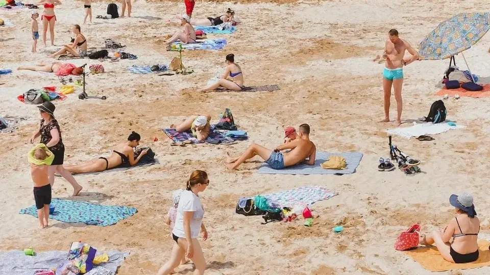 Фото: Министерство благоустройства Московской области