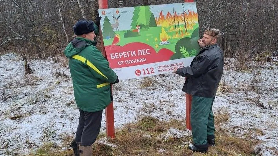 Фото: Комитет лесного хозяйства Московской области