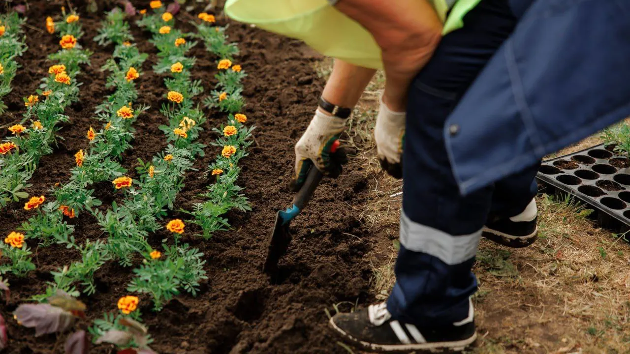 Фото: телеканал «Дубна»