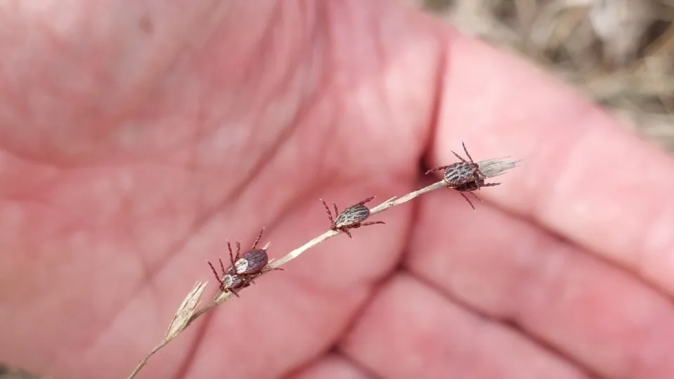 Фото: Василий Потапов