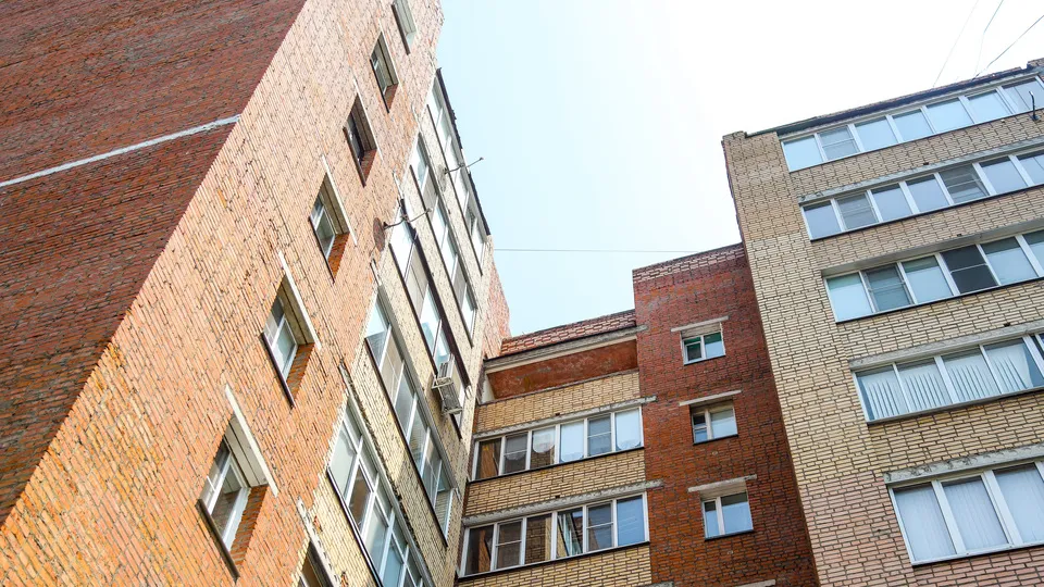 Фото: пресс-служба администрации г.о. Кашира