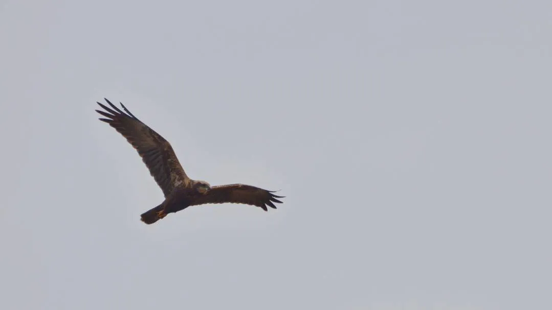 Фото: соцсети