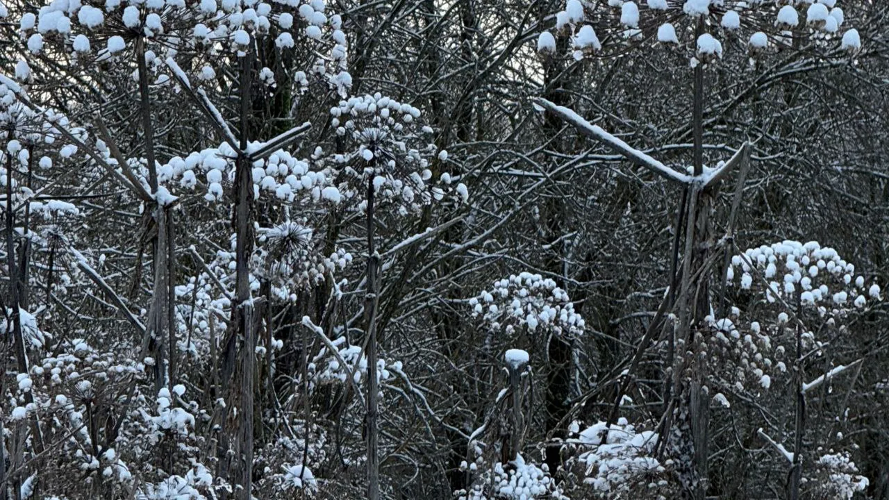Фото: Марина Алифанова