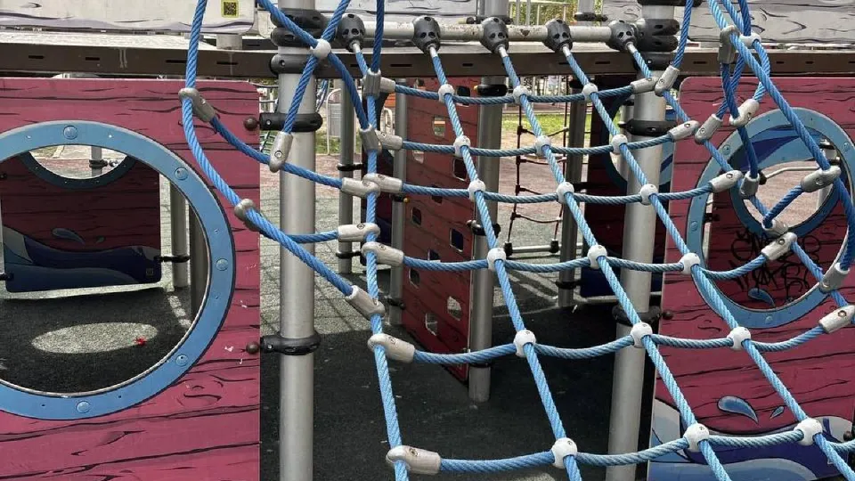 Фото: администрация Одинцовского округа