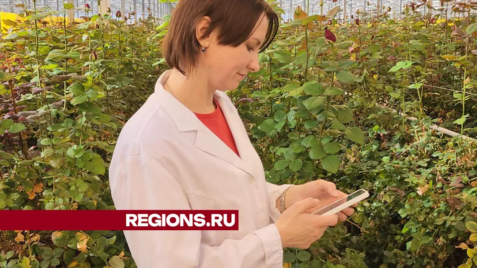 Фото: Андрей Семибратов