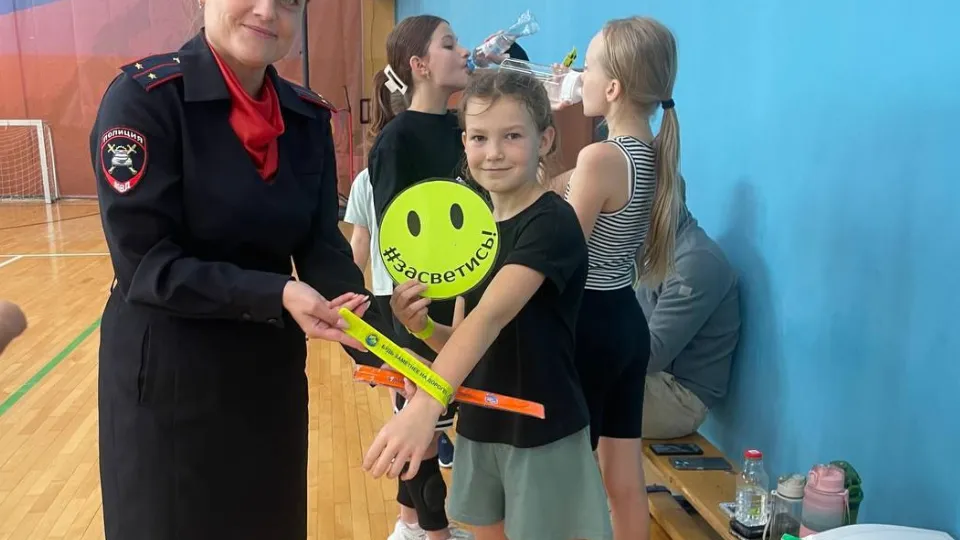 Фото: Госавтоинспекция УМВД России по г. о. Домодедово