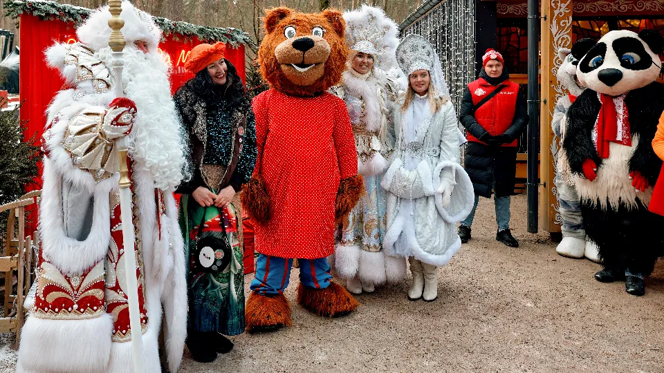 Фото: медиасток.рф