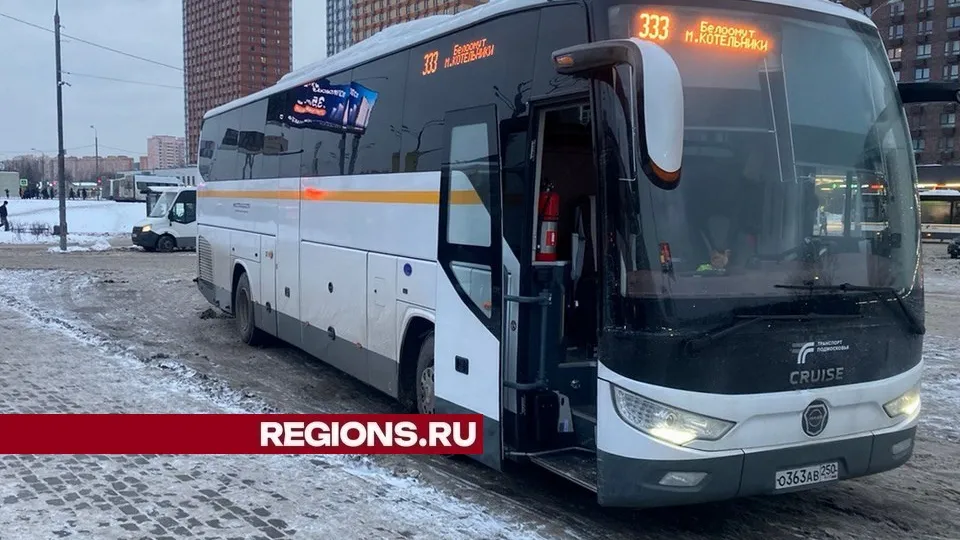 Фото: пресс-служба администрации городского округа Луховицы