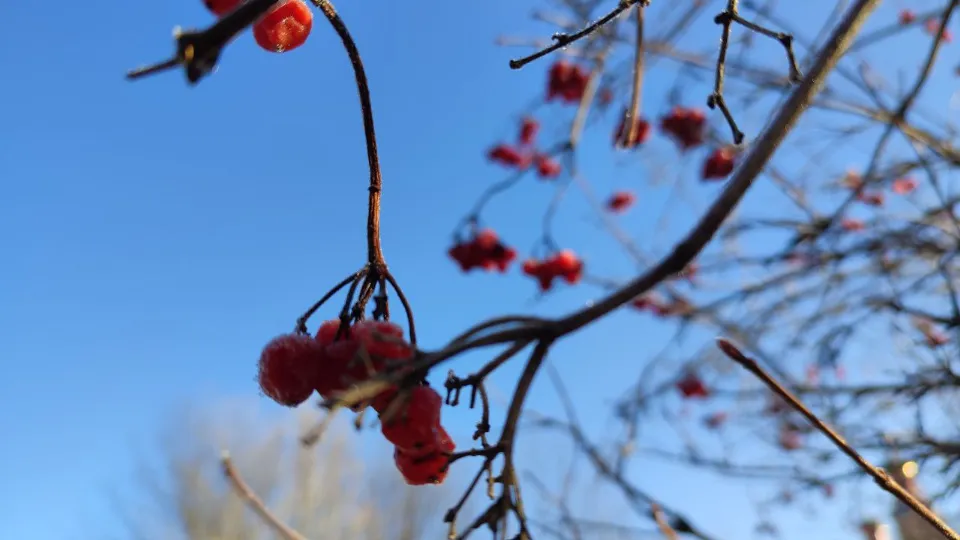 Фото: REGIONS/Елена Забелина