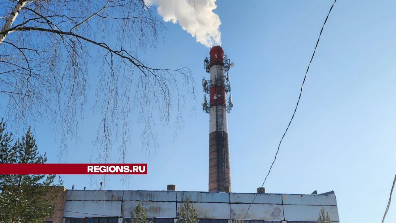 Фото: Светлана Плотникова