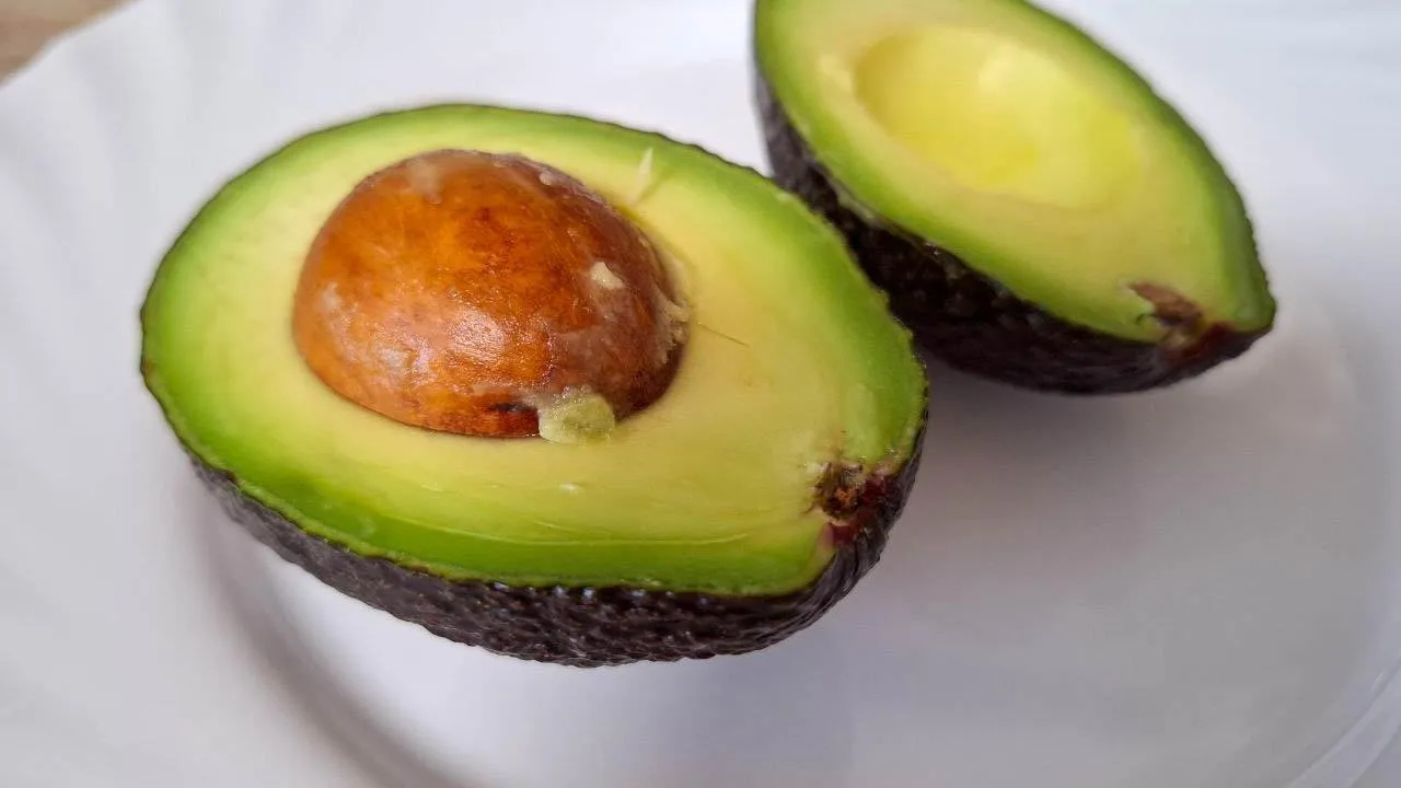 REGIONS/Юлия Габбасова