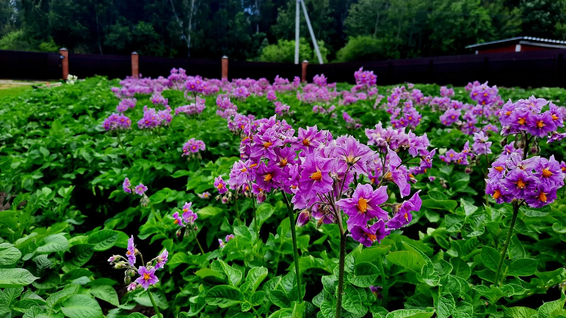 МедиаБанк Подмосковья/Михаил Мартыненко